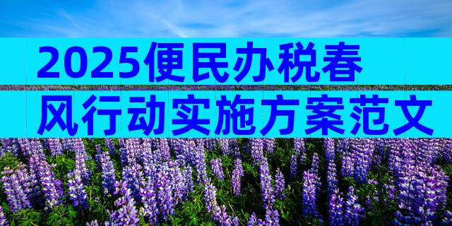 2025便民办税春风行动实施方案范文（精选8篇）