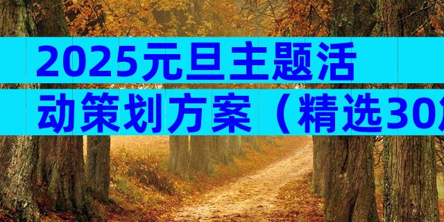 2025元旦主题活动策划方案（精选30篇）