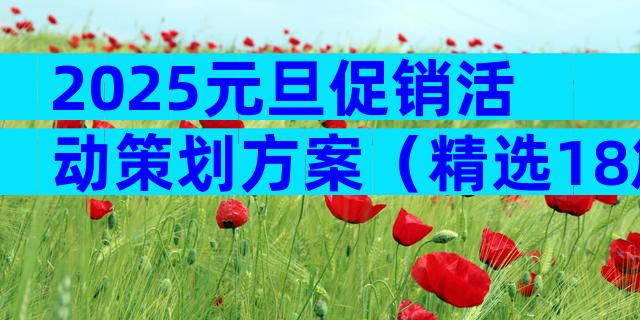 2025元旦促销活动策划方案（精选18篇）