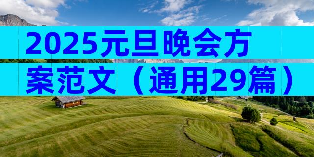 2025元旦晚会方案范文（通用29篇）