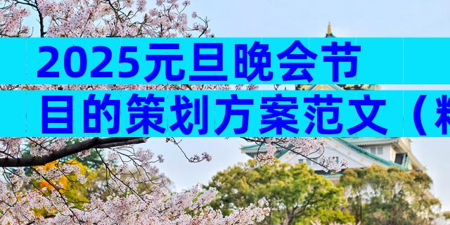 2025元旦晚会节目的策划方案范文（精选32篇）
