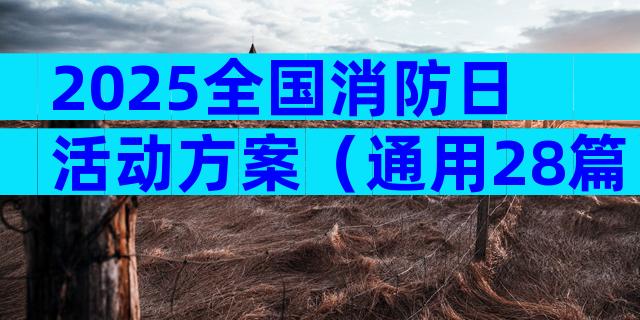 2025全国消防日活动方案（通用28篇）