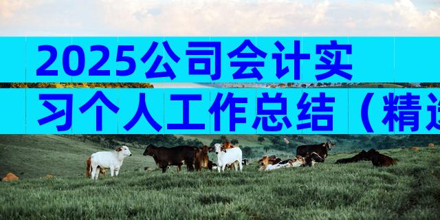 2025公司会计实习个人工作总结（精选5篇）
