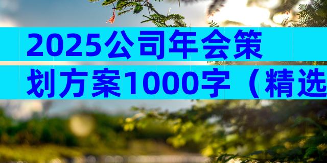 2025公司年会策划方案1000字（精选30篇）