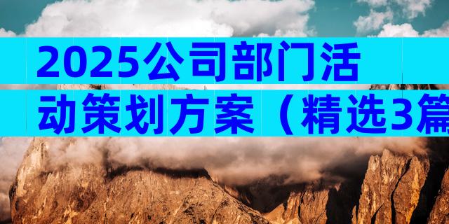 2025公司部门活动策划方案（精选3篇）