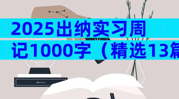 2025出纳实习周记1000字（精选13篇）