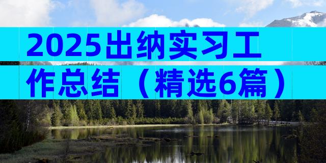 2025出纳实习工作总结（精选6篇）