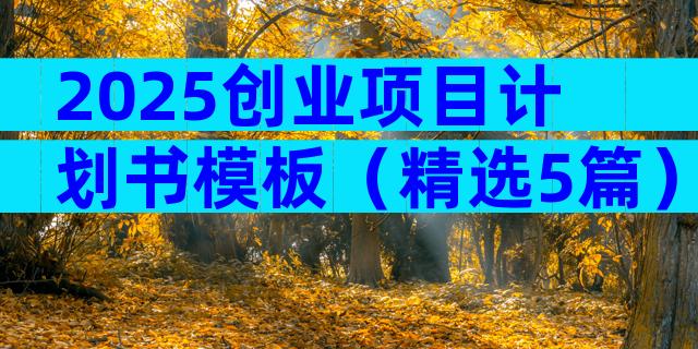 2025创业项目计划书模板（精选5篇）