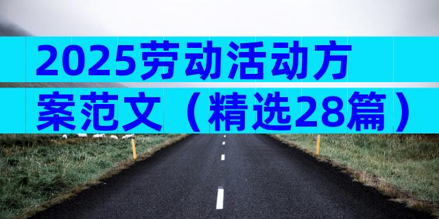 2025劳动活动方案范文（精选28篇）