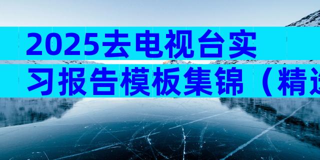 2025去电视台实习报告模板集锦（精选3篇）