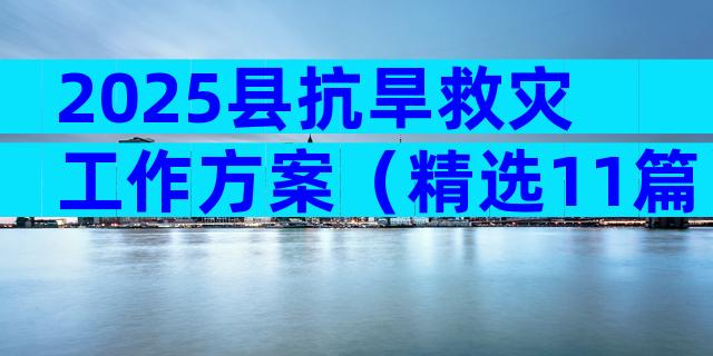 2025县抗旱救灾工作方案（精选11篇）