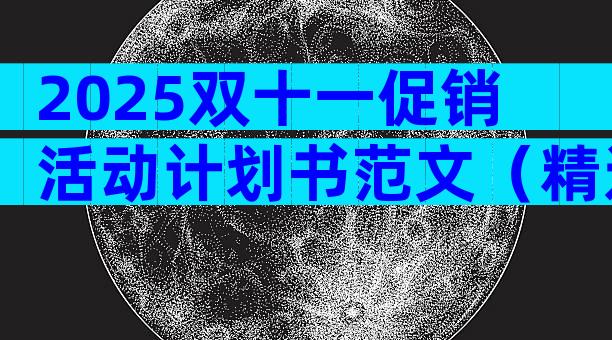 2025双十一促销活动计划书范文（精选29篇）