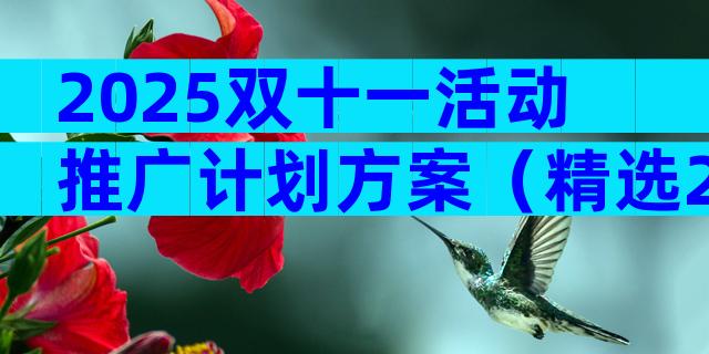 2025双十一活动推广计划方案（精选29篇）
