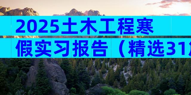 2025土木工程寒假实习报告（精选31篇）