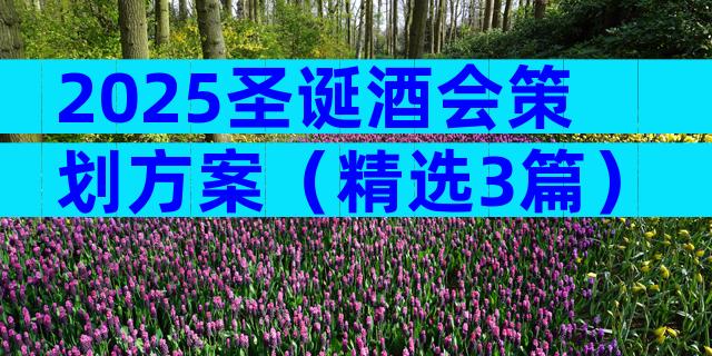 2025圣诞酒会策划方案（精选3篇）