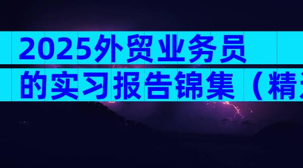 2025外贸业务员的实习报告锦集（精选22篇）