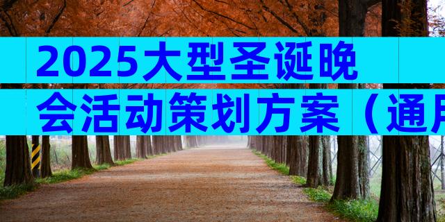 2025大型圣诞晚会活动策划方案（通用28篇）