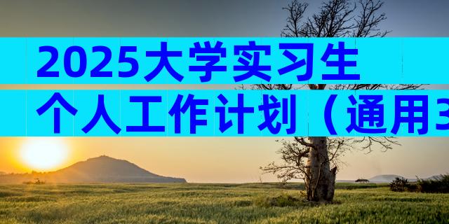 2025大学实习生个人工作计划（通用3篇）