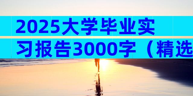 2025大学毕业实习报告3000字（精选8篇）