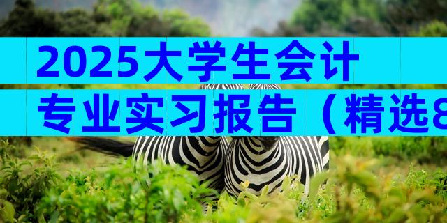 2025大学生会计专业实习报告（精选8篇）