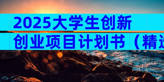2025大学生创新创业项目计划书（精选16篇）