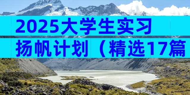 2025大学生实习扬帆计划（精选17篇）