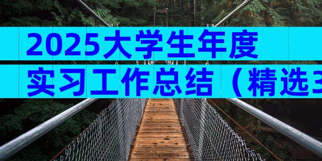 2025大学生年度实习工作总结（精选31篇）
