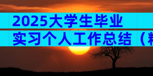 2025大学生毕业实习个人工作总结（精选30篇）