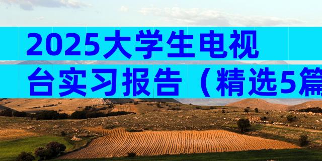 2025大学生电视台实习报告（精选5篇）