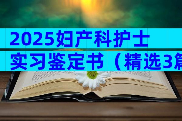 2025妇产科护士实习鉴定书（精选3篇）