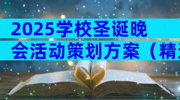 2025学校圣诞晚会活动策划方案（精选32篇）