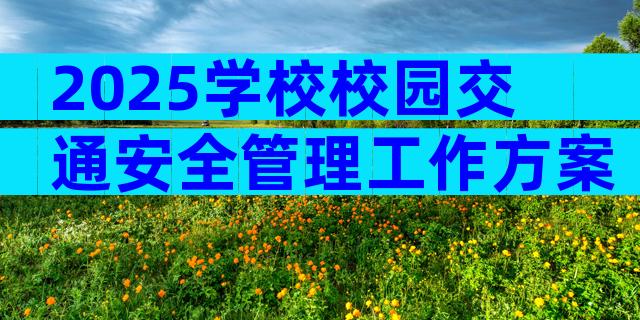 2025学校校园交通安全管理工作方案（精选30篇）
