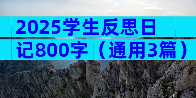 2025学生反思日记800字（通用3篇）