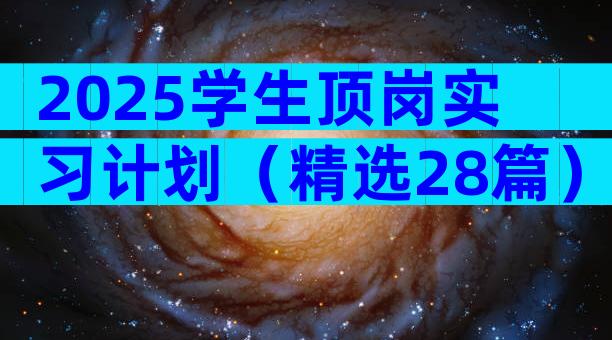 2025学生顶岗实习计划（精选28篇）