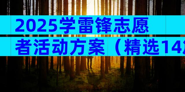 2025学雷锋志愿者活动方案（精选14篇）