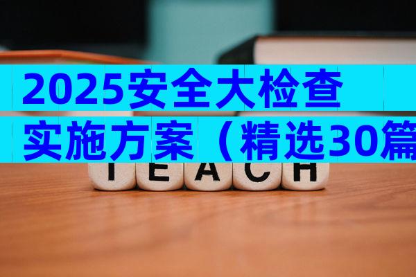 2025安全大检查实施方案（精选30篇）