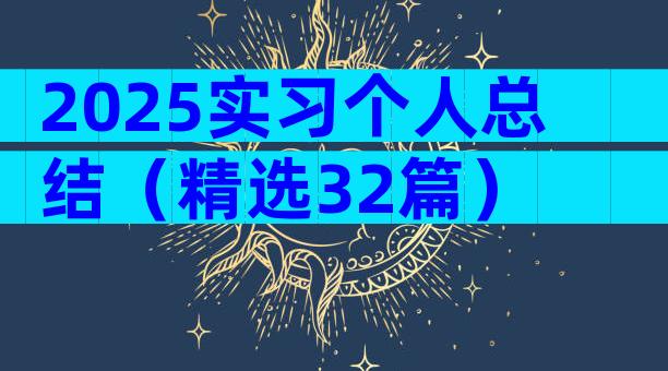 2025实习个人总结（精选32篇）