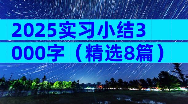 2025实习小结3000字（精选8篇）