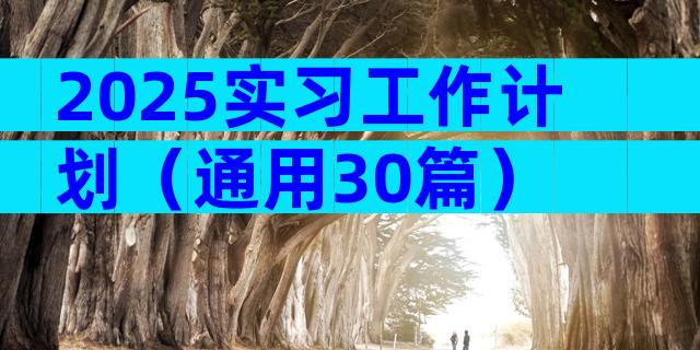 2025实习工作计划（通用30篇）