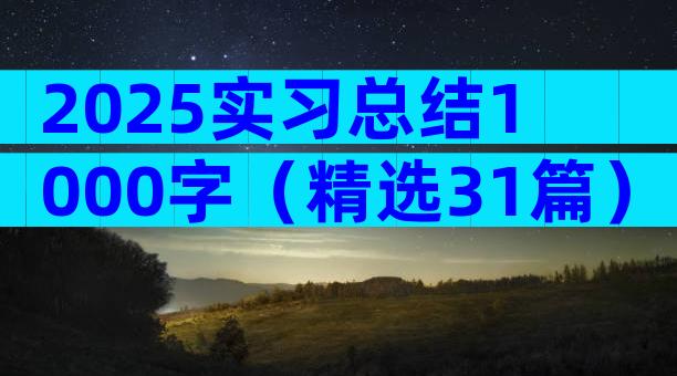 2025实习总结1000字（精选31篇）