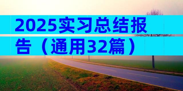 2025实习总结报告（通用32篇）