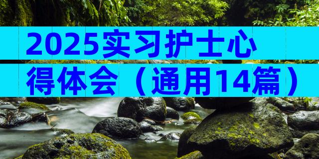 2025实习护士心得体会（通用14篇）