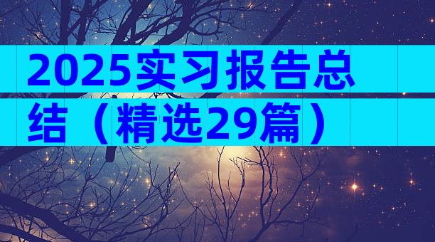 2025实习报告总结（精选29篇）