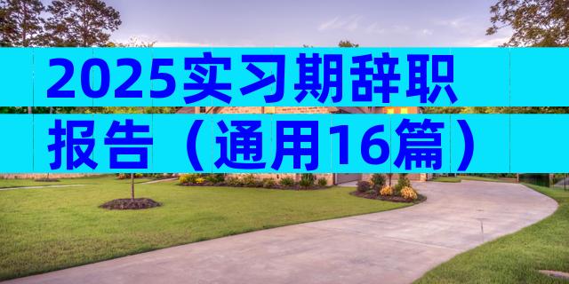 2025实习期辞职报告（通用16篇）