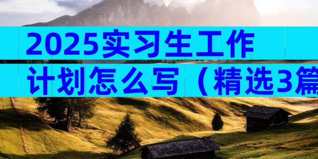 2025实习生工作计划怎么写（精选3篇）