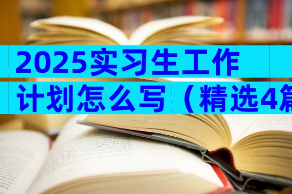 2025实习生工作计划怎么写（精选4篇）
