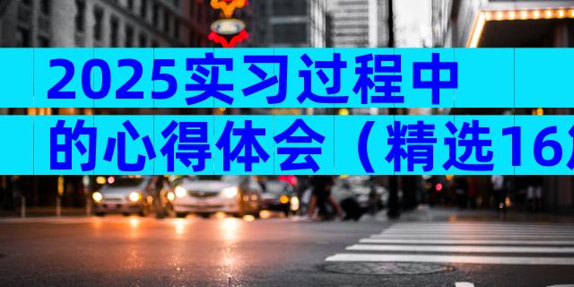 2025实习过程中的心得体会（精选16篇）