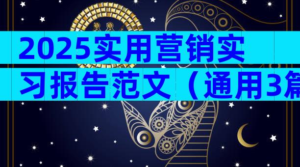 2025实用营销实习报告范文（通用3篇）