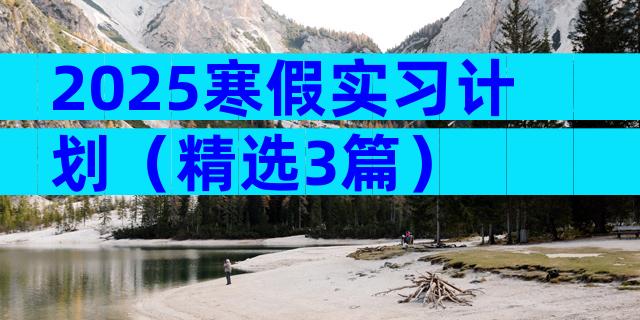 2025寒假实习计划（精选3篇）
