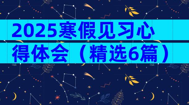 2025寒假见习心得体会（精选6篇）